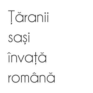 Champagne & Limousines